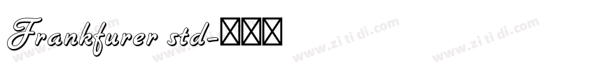 Frankfurer std字体转换
